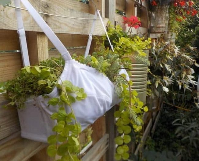 Blooming Bra Planters