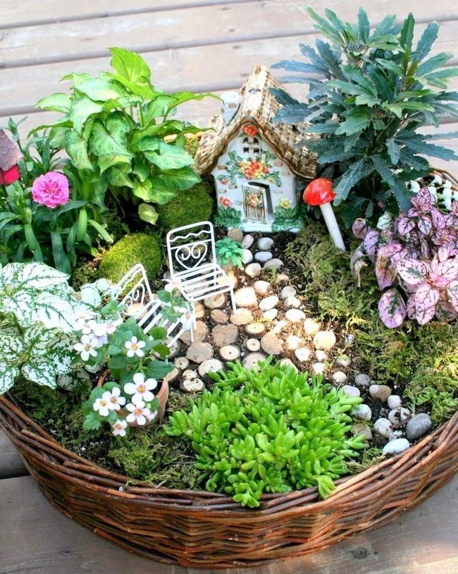Miniature Woodland Magic Gardens