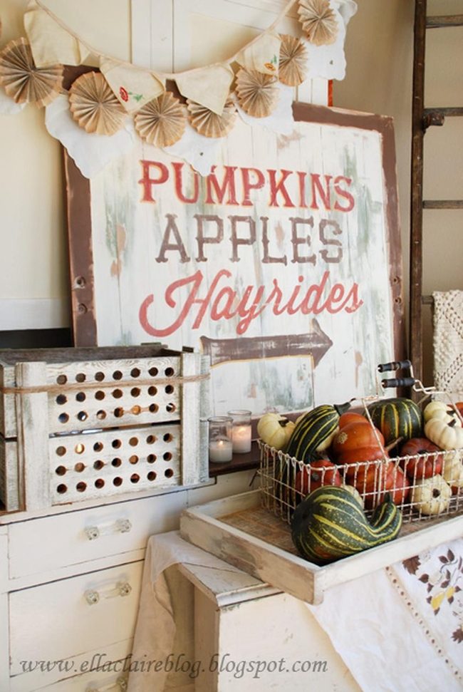 Autumn Pumpkins And Rustic Wood