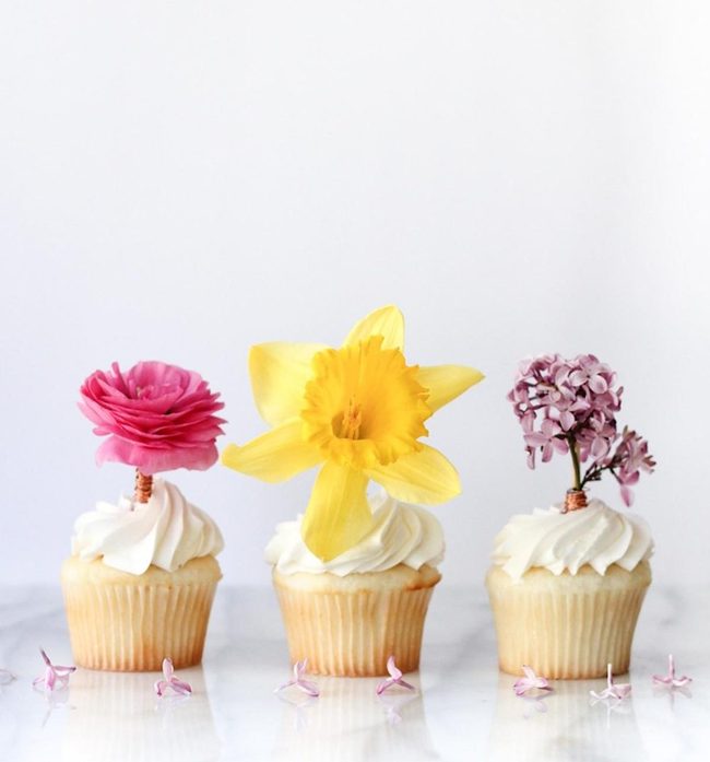 Cream Frosted Cupcakes Spring Petals