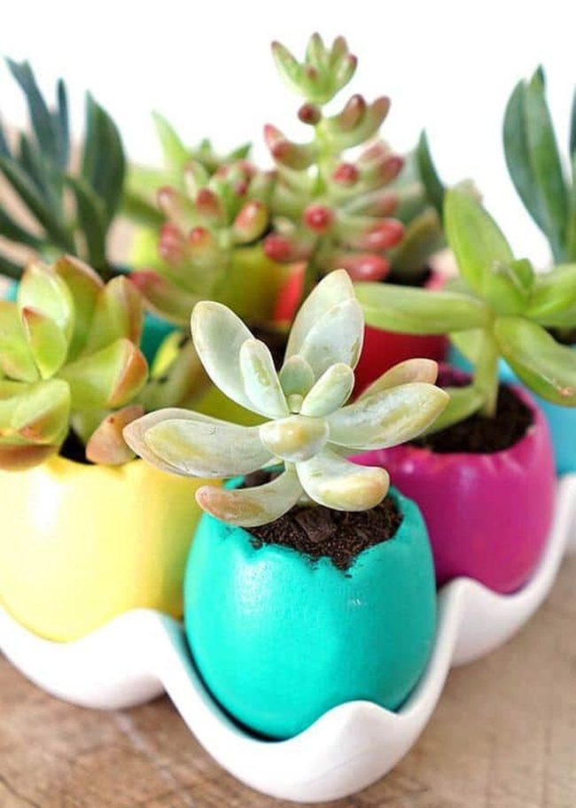 Pastel Egg Planters With Succulents