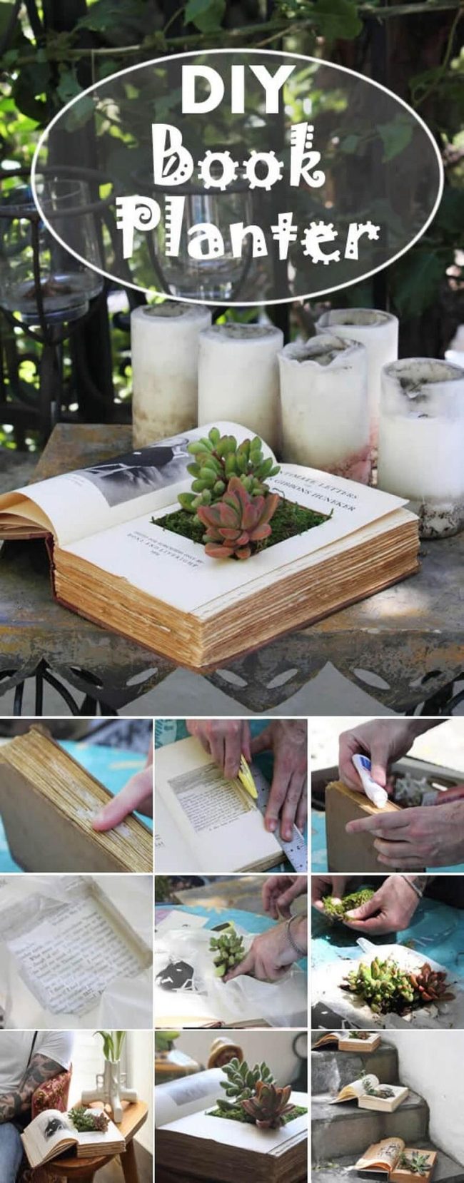 Hollowed Books Growing Green