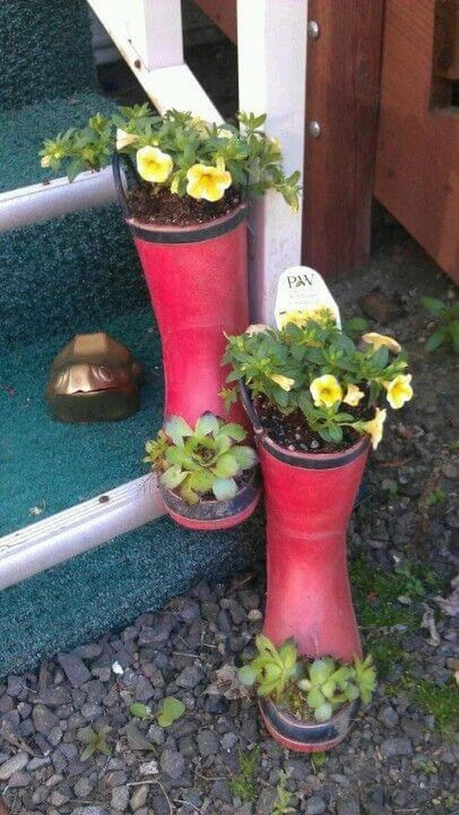 Crimson Boots Blooming
