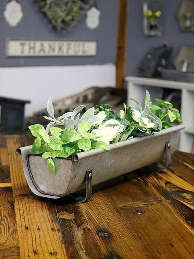 Weathered Metal Planter With Trailing Vines
