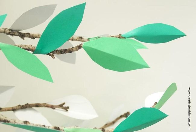 Natural Wood Branch Canopy