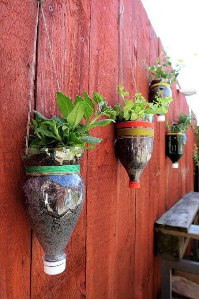 Rainbow Bottle Plant Wall