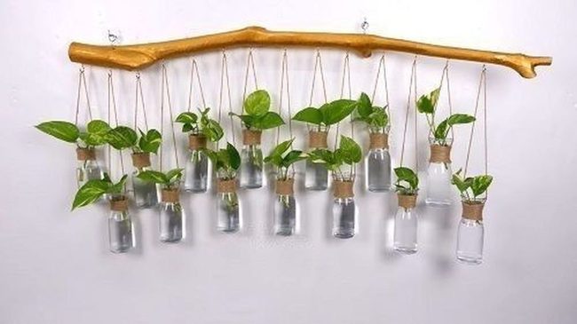 Natural Wood Plant Suspenders