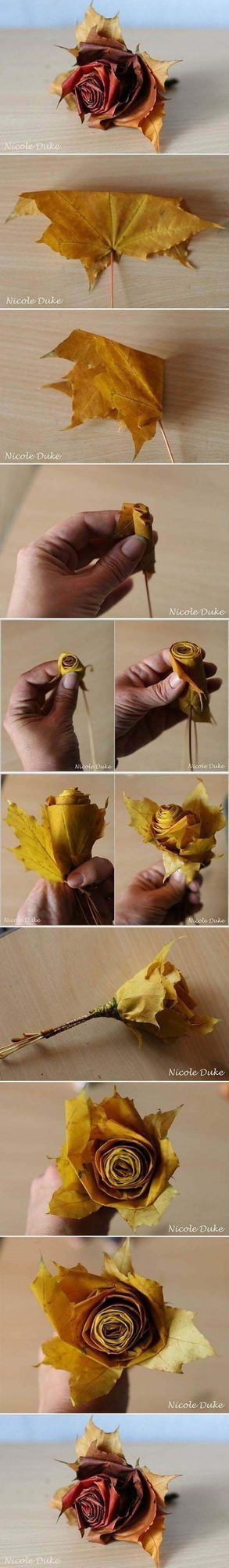 Autumn Leaves Rolled Roses