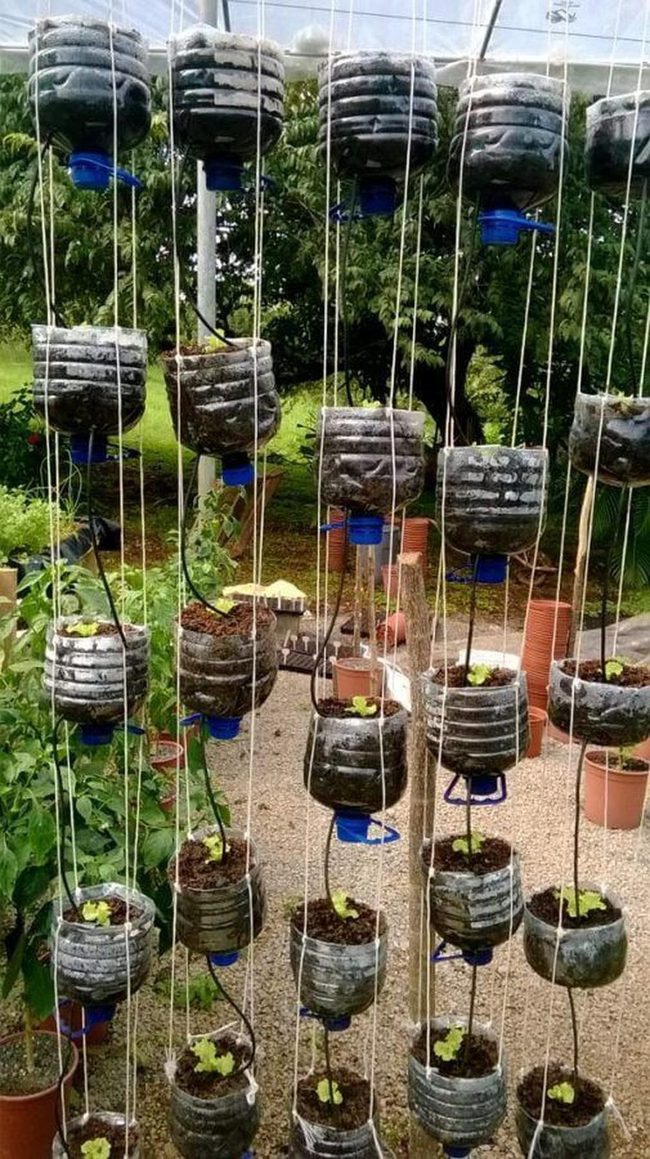 Textured Terracotta Vertical Garden