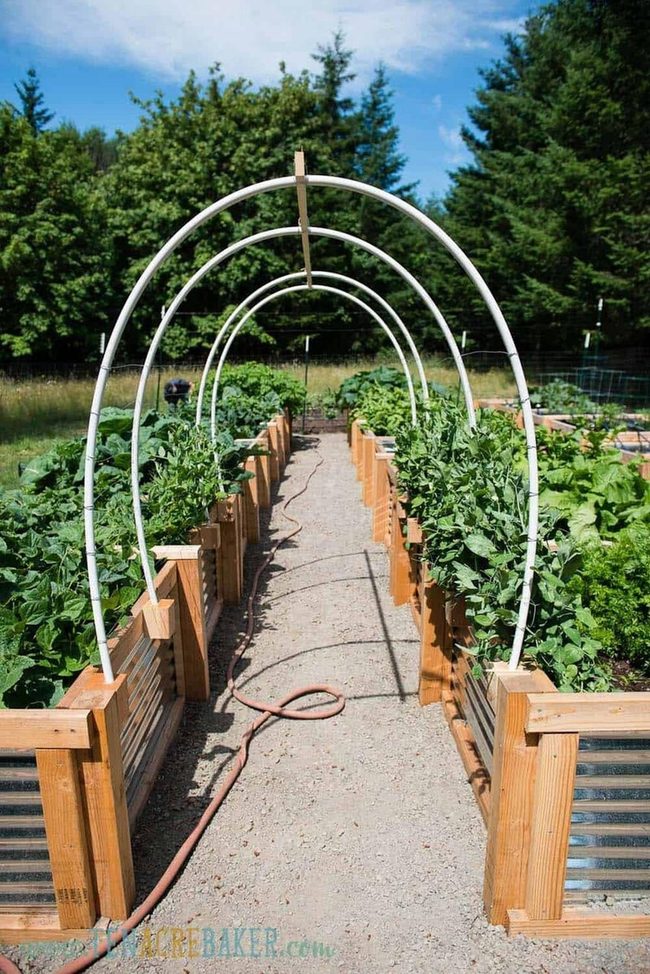 Vertical Pvc Garden Arches