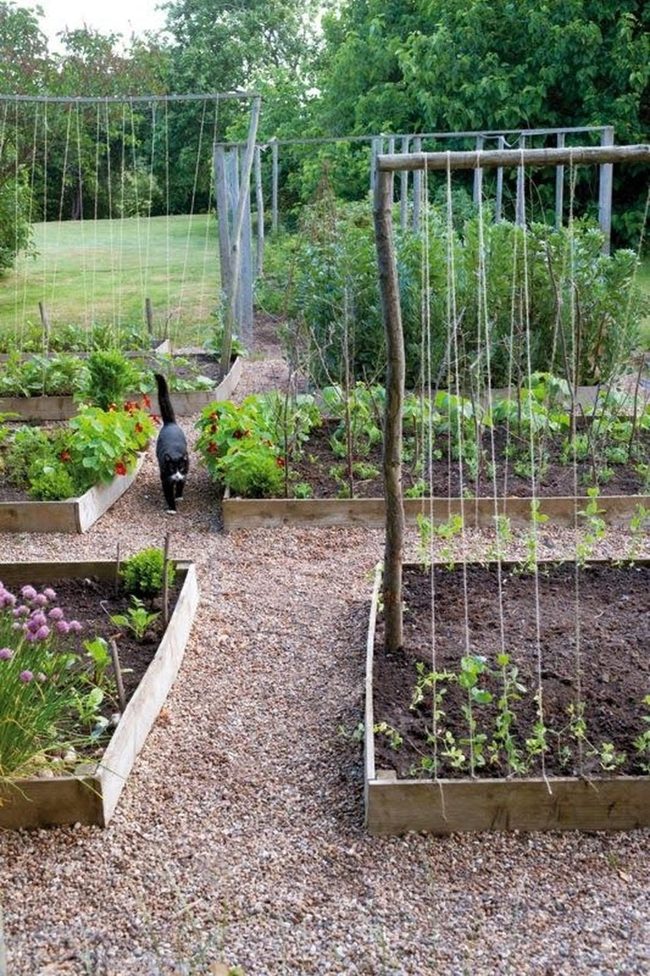Wooden Beds Blooming Garden