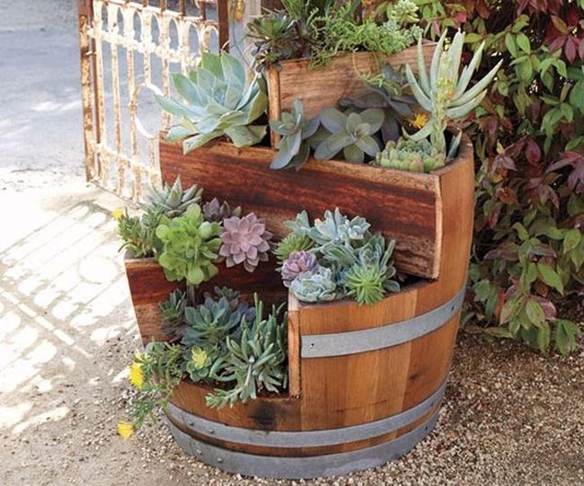 Halved Wine Barrel Succulent Garden