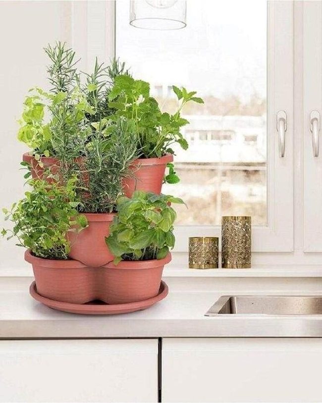 Terracotta Tiered Herb Garden