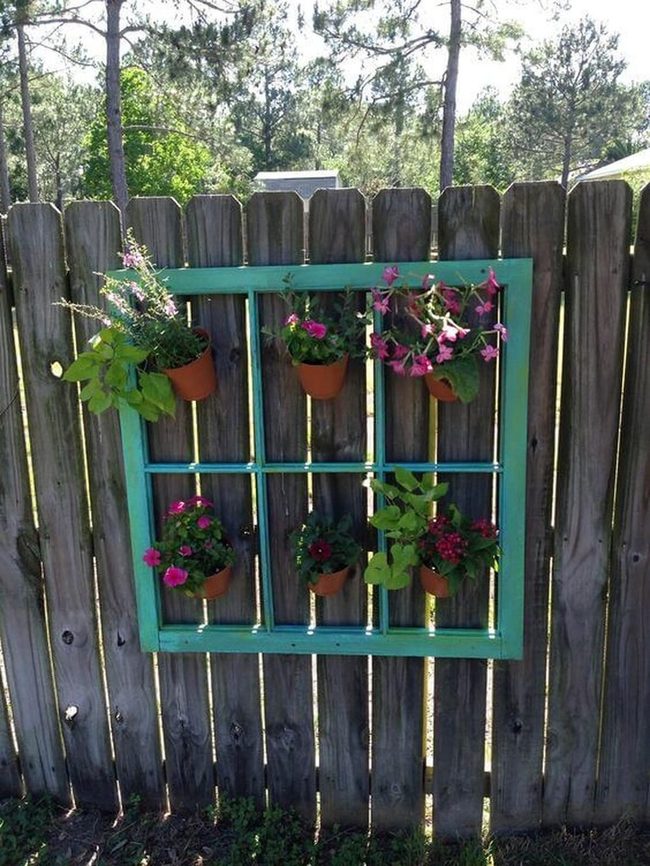 Terracotta Petunias Living Frame