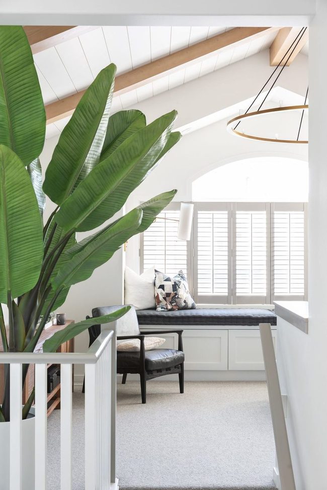 Living Green Budget Solution