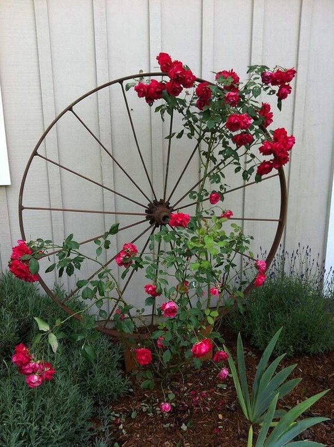 Red Roses On Weathered Wagon Wheel