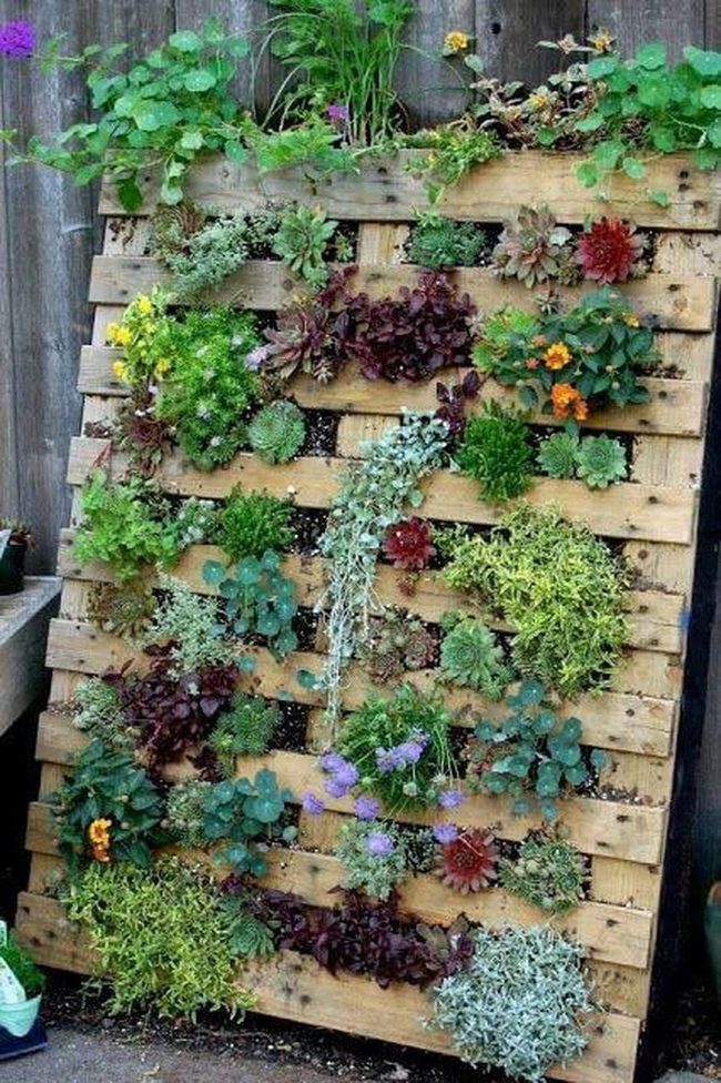 Vertical Garden Wall Pallet