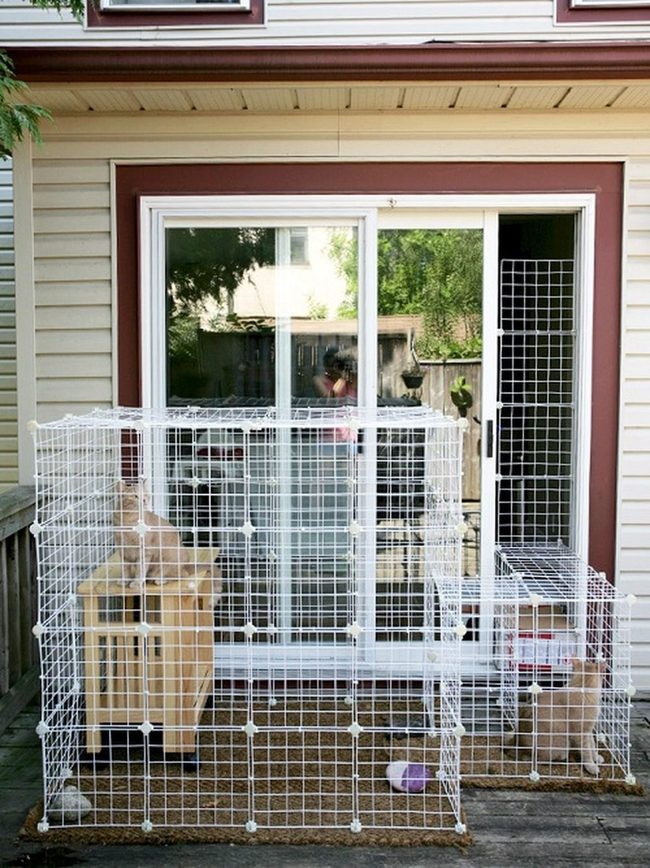 Safe Metal Cat Enclosure