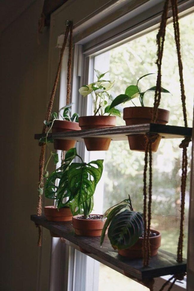 Vertical Green Living Walls