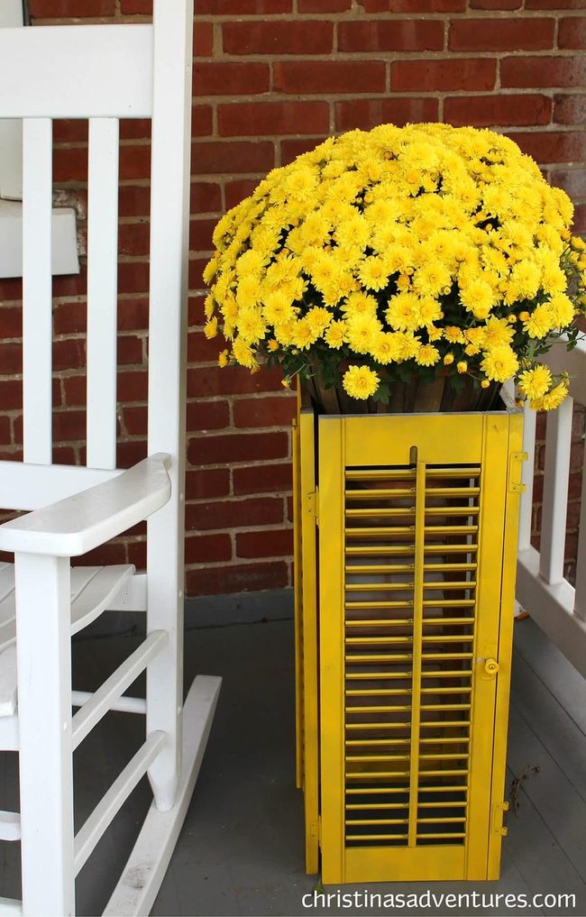 Yellow Shutters Planter Wall