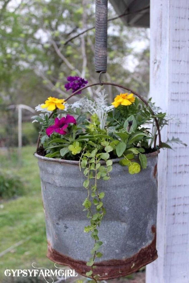 Rust And Vine Hanging Buckets