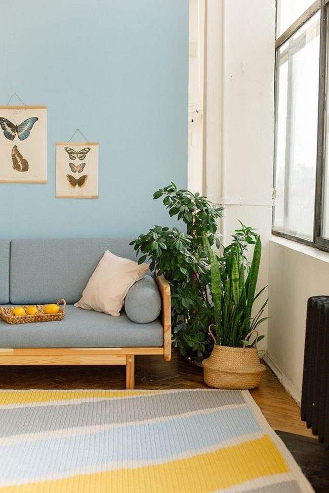 Light Blue Walls, Living Green