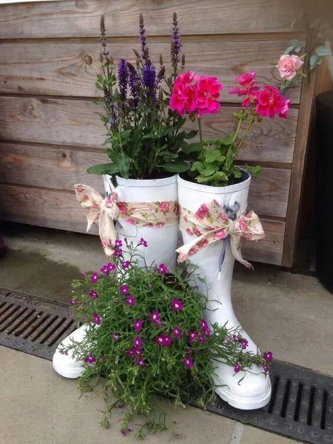 Old Boots, Living Gardens