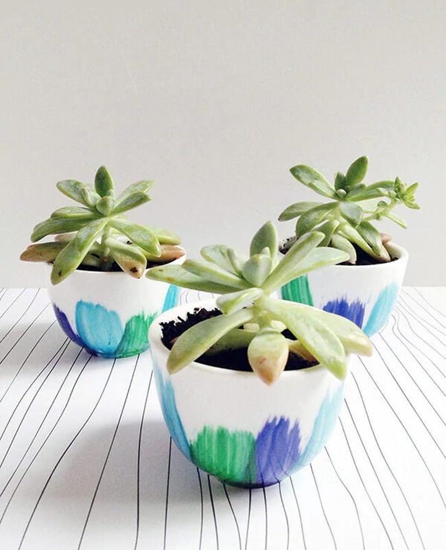 Succulent Teacup Planters