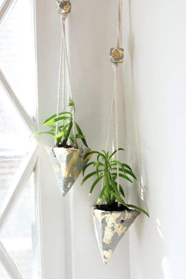 Green Walls, Gold Touches