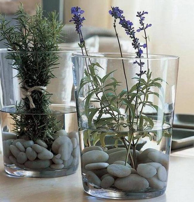 Clear Glass Herb Gardens
