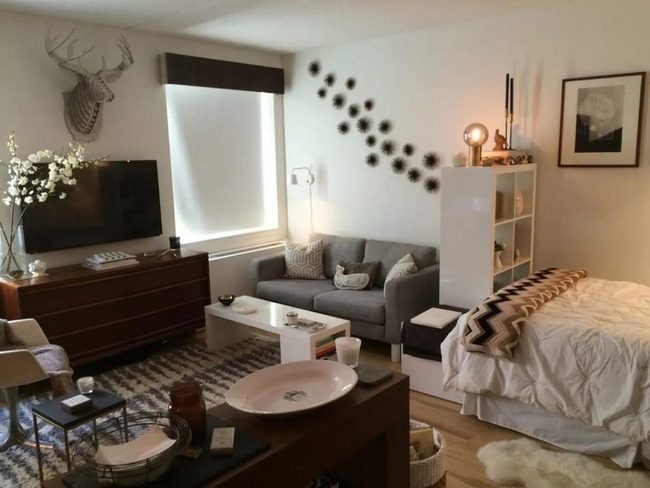 Geometric Rug Defines Compact Living