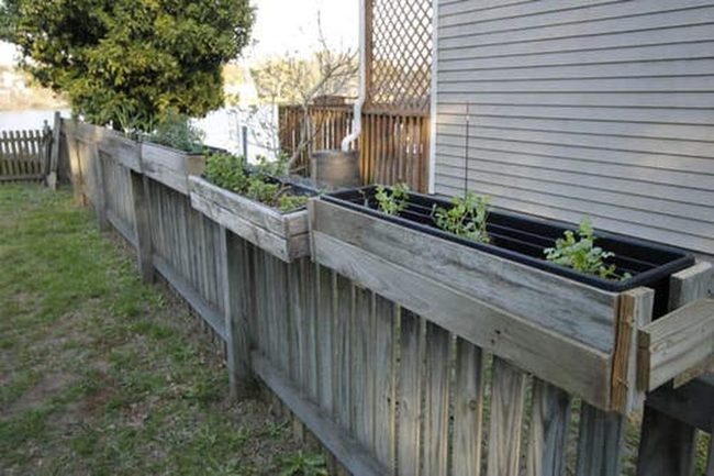 Cascading Flowers Through Wood Slats