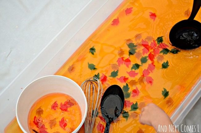 Autumn Orange Culinary Alchemy