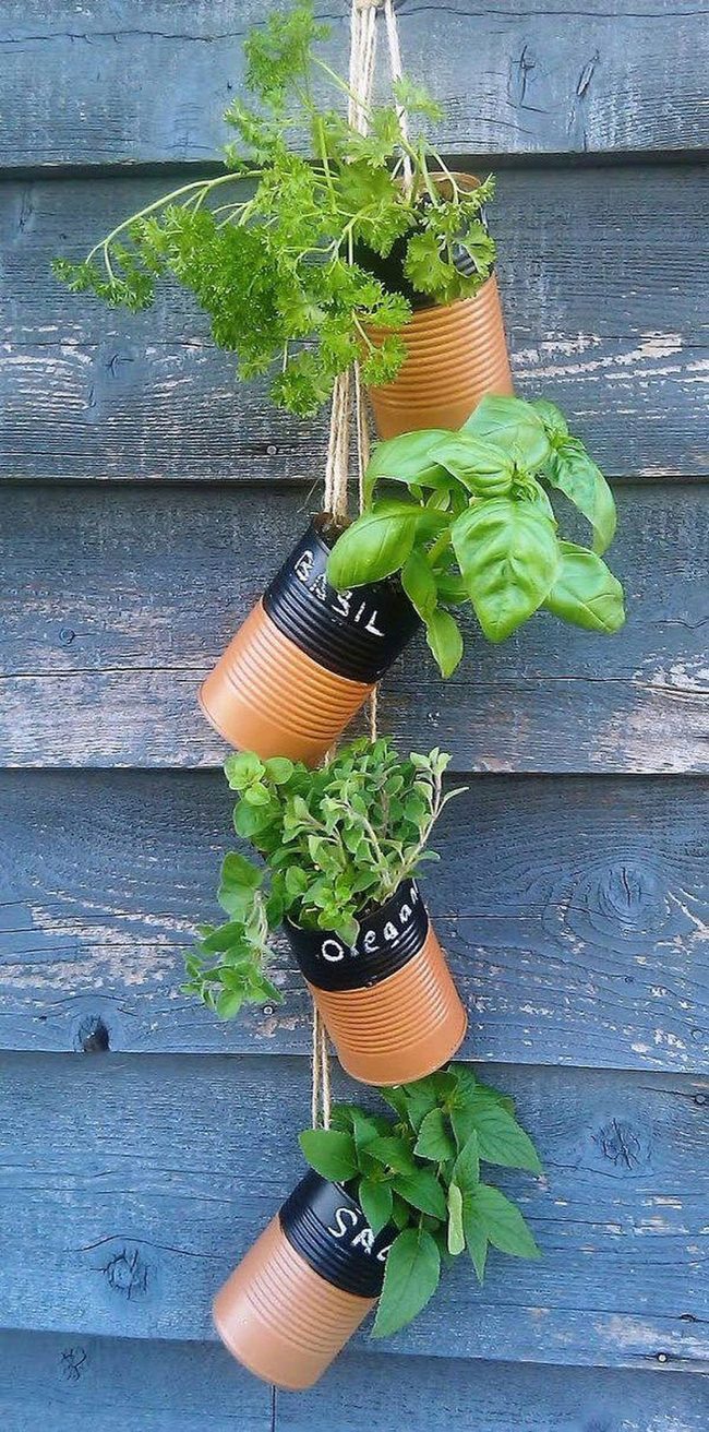 Painted Metal Cans Grow Fresh Herbs