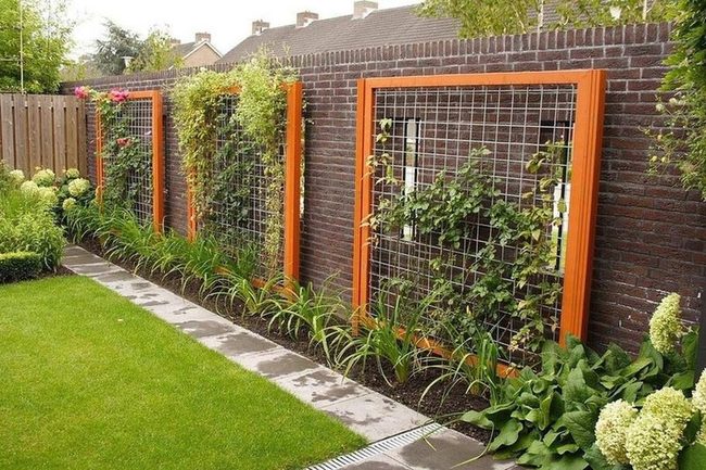 Orange Wood Rose Trellis