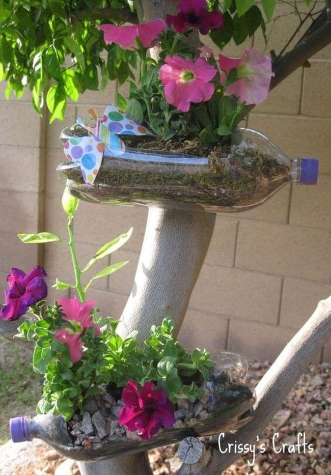 Colorful Blooms In Glass Bottles
