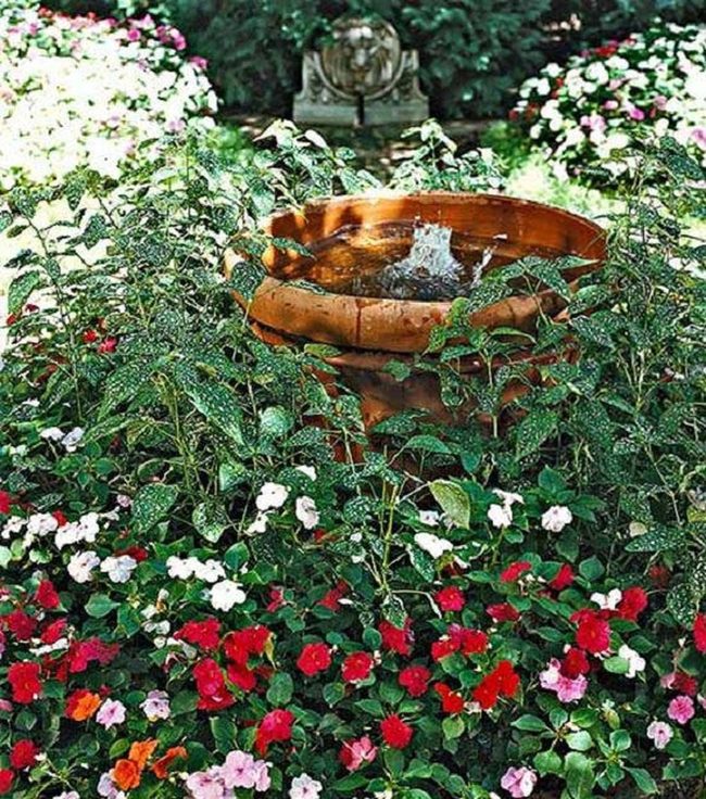 Hidden Water Among Green Blooms