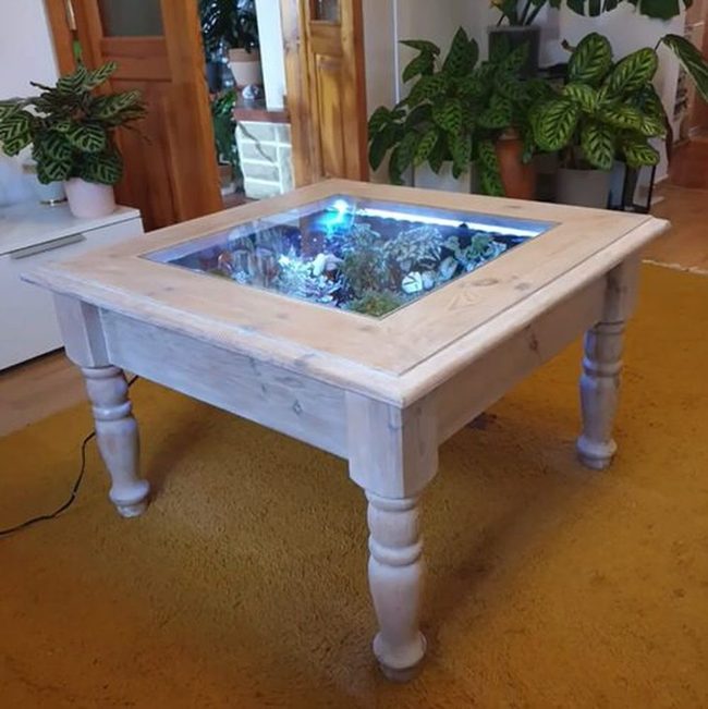 Luminous Terrarium Table