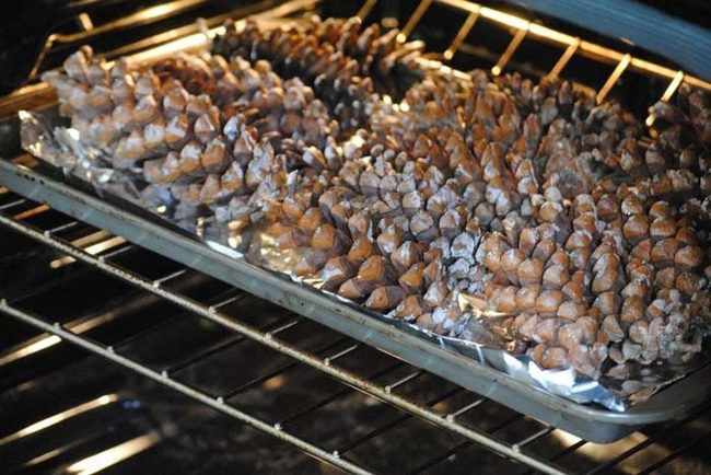 Baked Pine Cones For Decorating