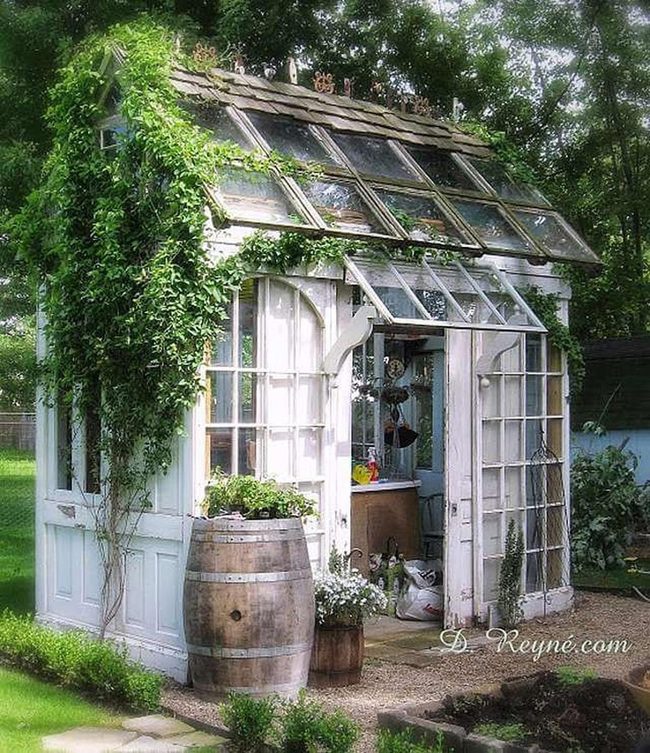 Sunlit Greenhouse With Weathered Wood