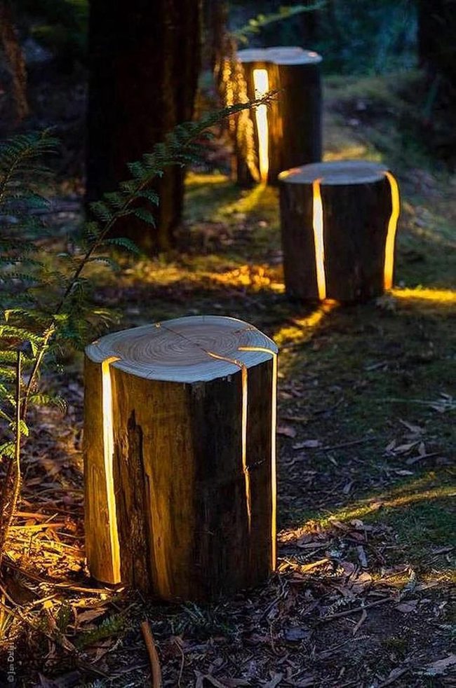 Glowing Logs Forest Floor