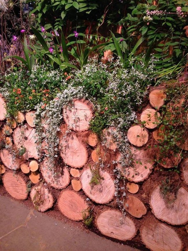 Timber Slice Green Wall