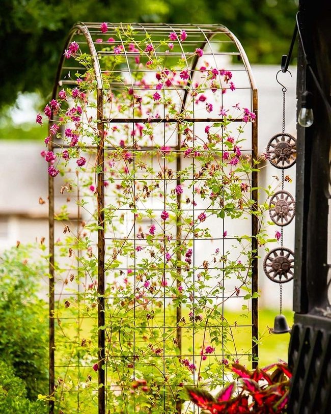 Pink Rose Metal Tunnel