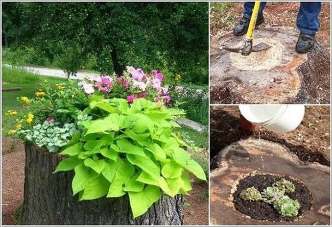 Hollowed Wood Stump Planters
