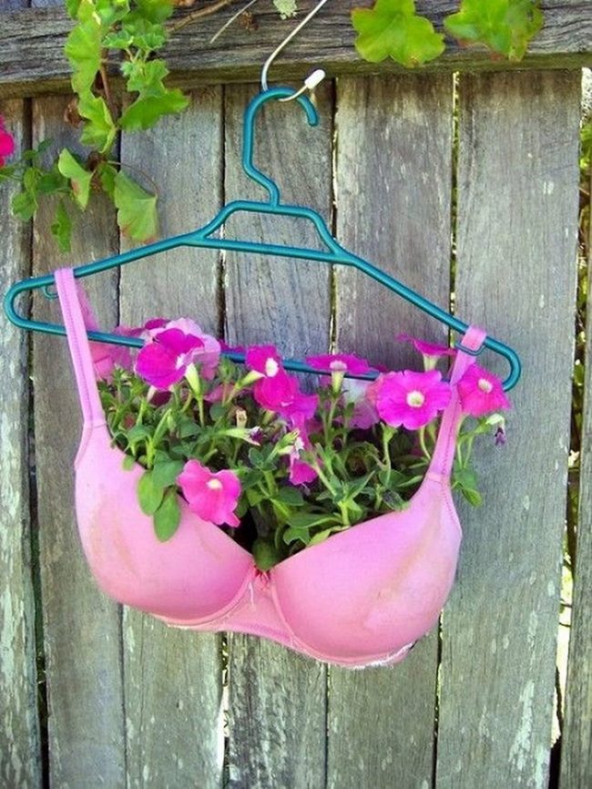 Petunias In Repurposed Bras