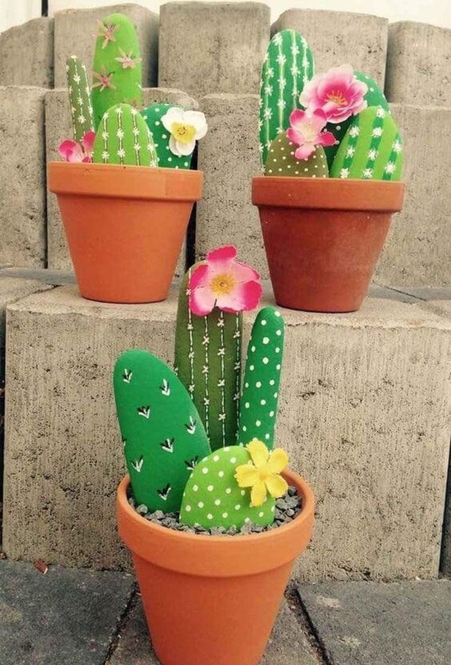 Desert Stones, Living Cacti