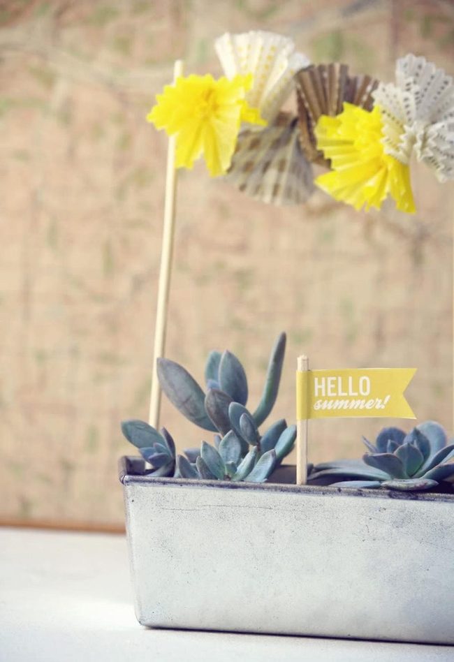 Blue-Green Succulent Summer Hello