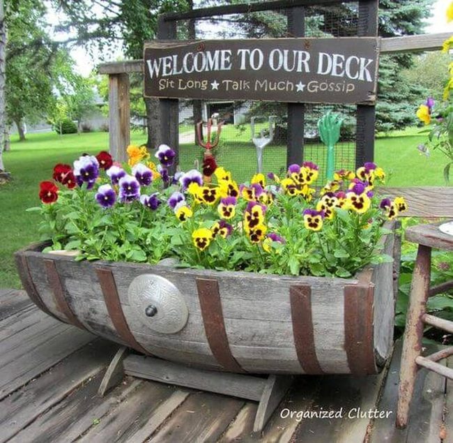 Weathered Barrel Purple Pansies