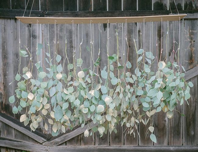 Hanging Leaves, Warm Wood