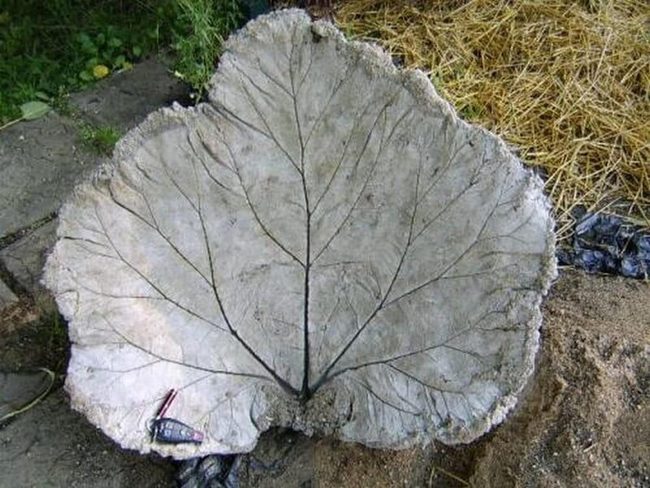 Concrete Leaf Garden Imprints